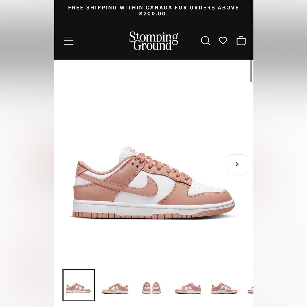 Women’s “rose whisper” dunks